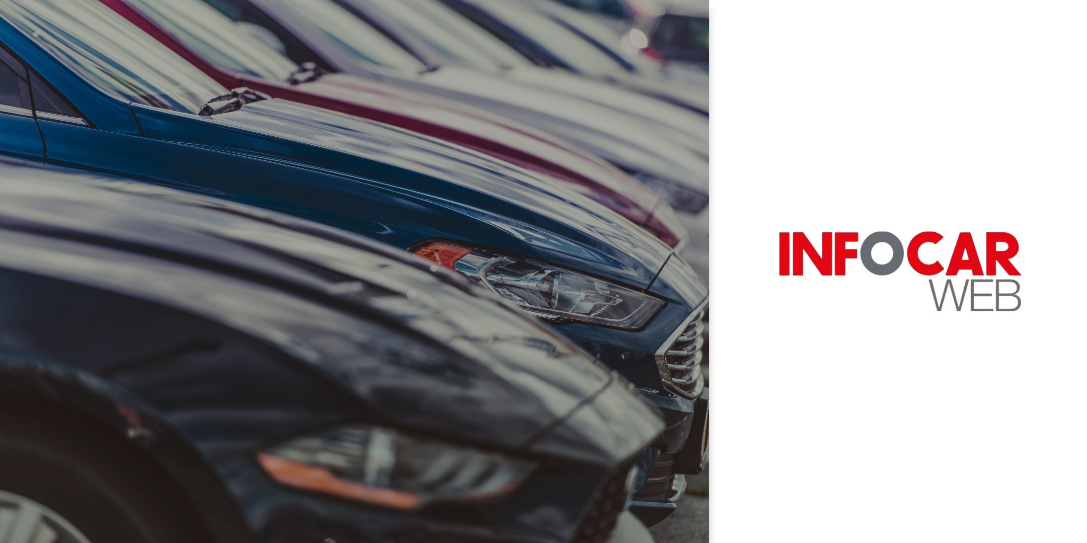 Gestionale auto Infocar Web