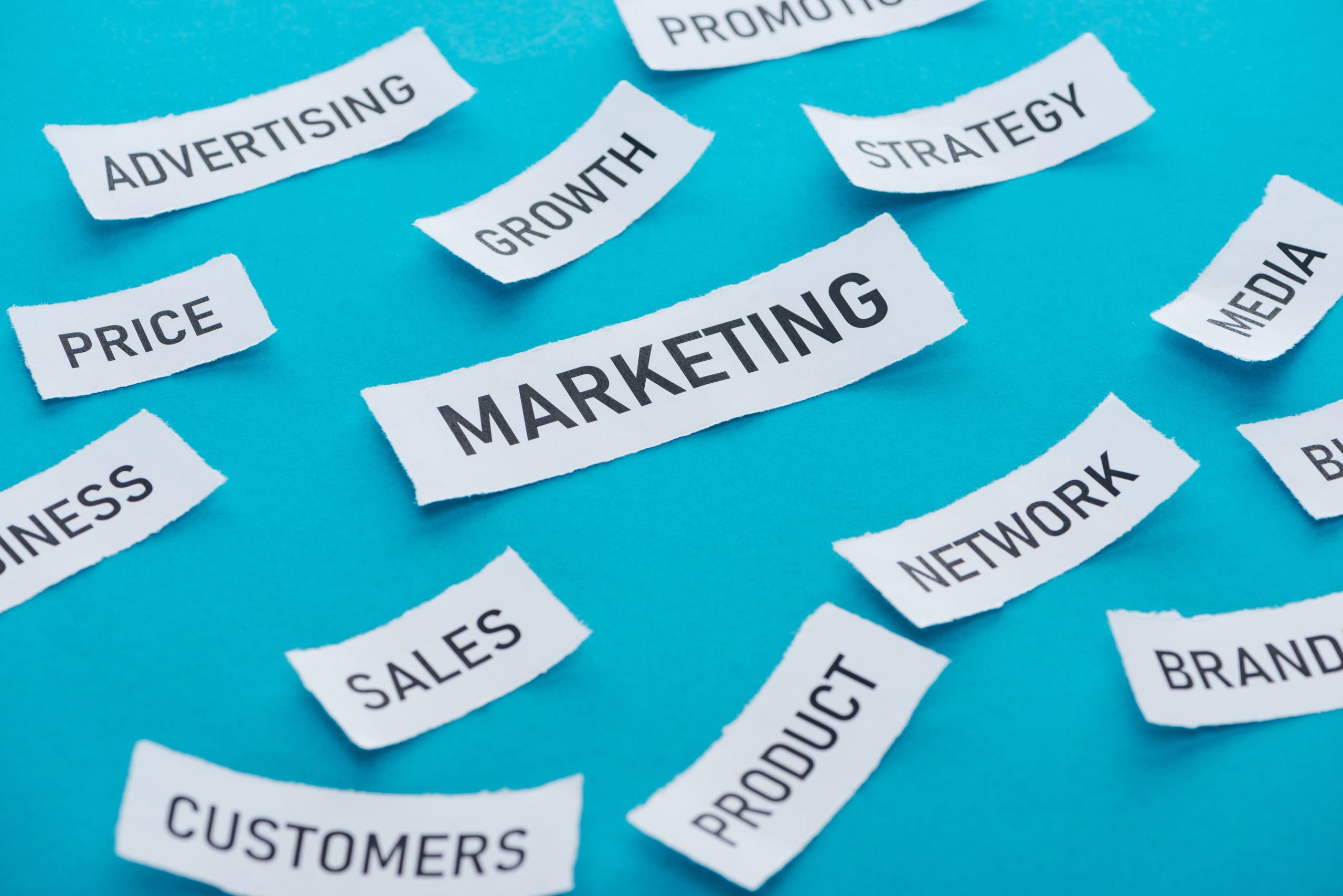 infocar repair modulo marketing